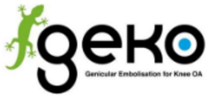GEKO